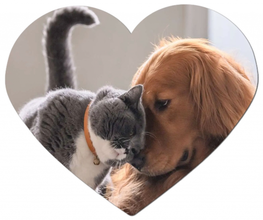 tuxpi.com_.1662130343